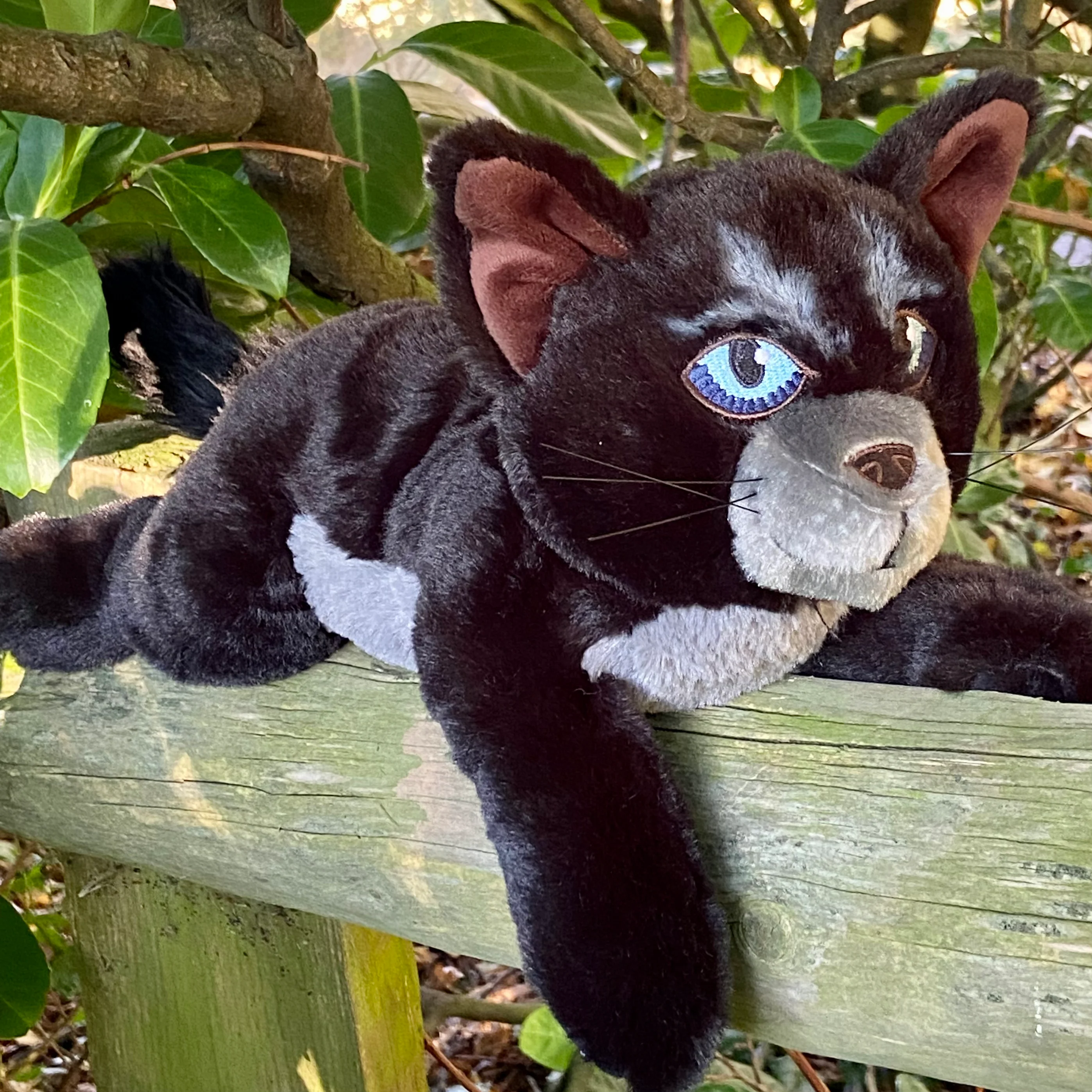 Cinderpelt Large Plush Cat - Image 5