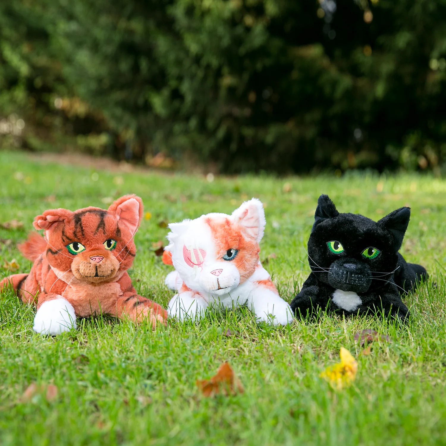 Ravenpaw Large Plush Cat - Image 5