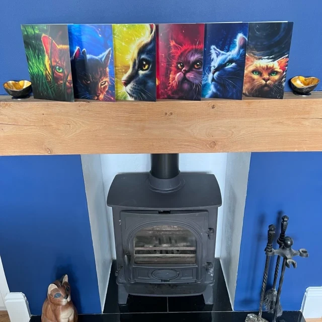 Warrior Cats Series 1 Card Set - Image 2