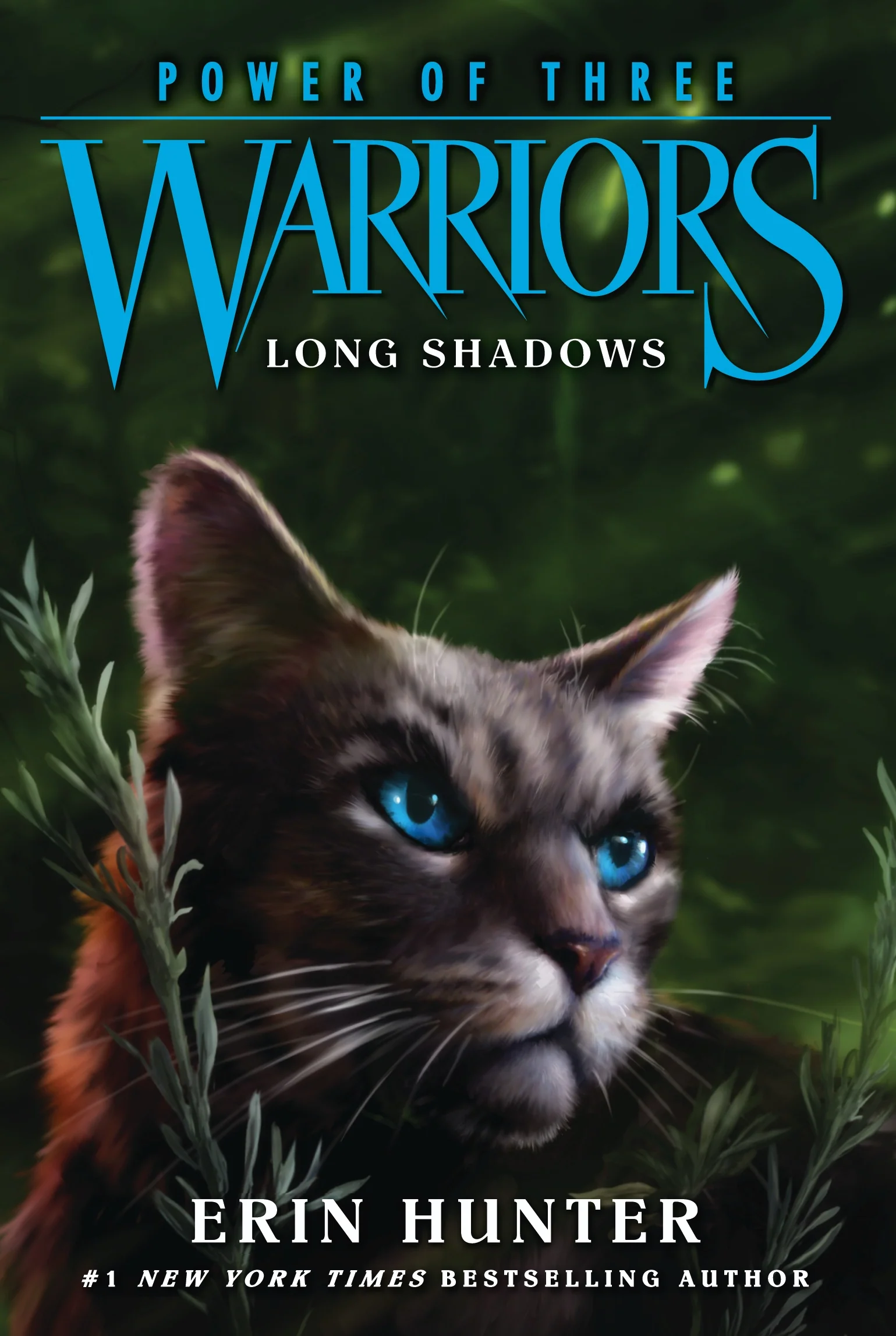 Warriors Power Of Three Long Shadows Book